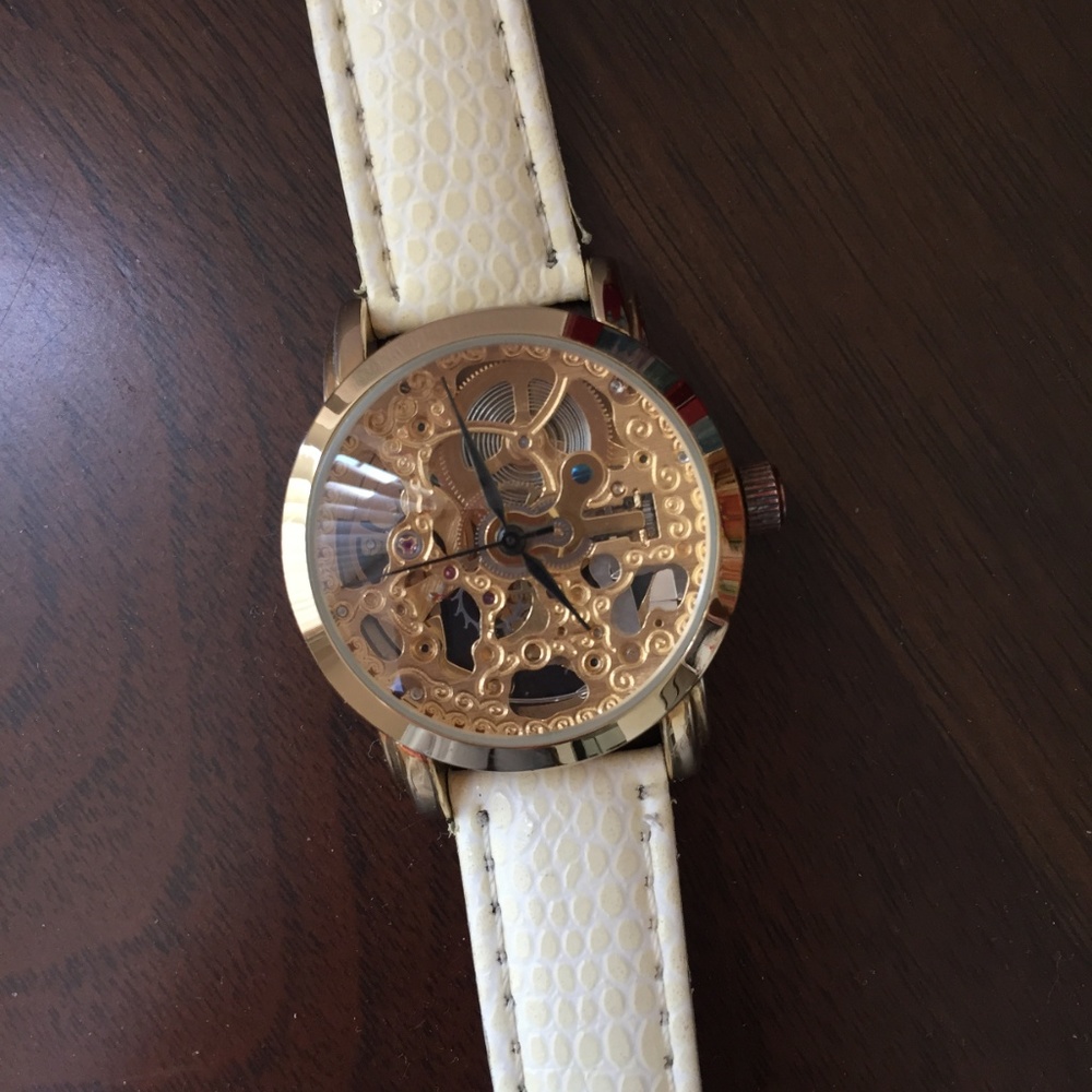 Akribos xxiv mechanical watch